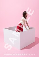 柴田淳「おはこ」新星堂 / WonderGOO購入者特典デザイン