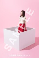 柴田淳「おはこ」山野楽器購入者特典デザイン