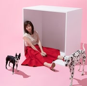 柴田淳「おはこ」通常盤ジャケット