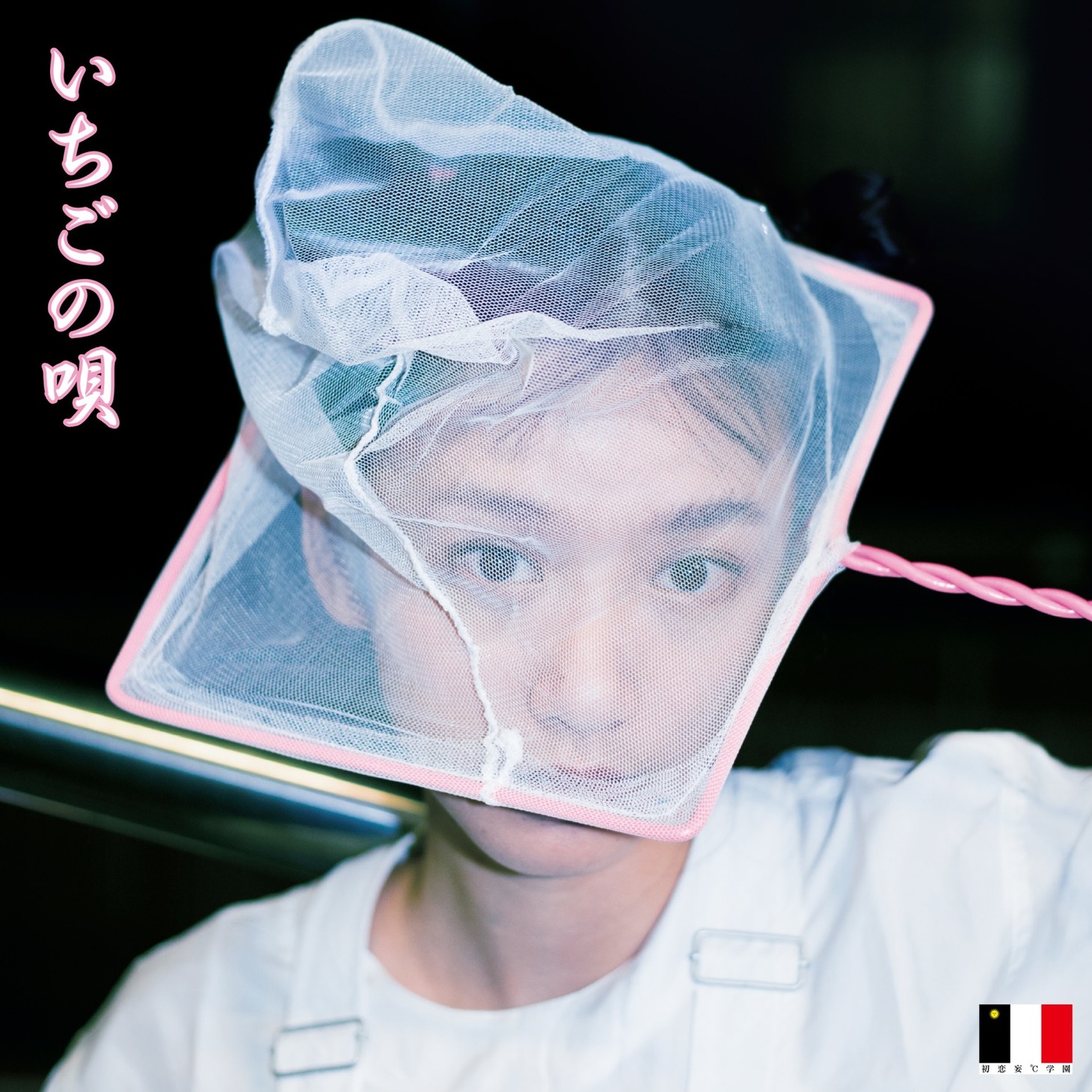 銀杏BOYZ「いちごの唄」ジャケット (c)2019「いちごの唄」製作委員会