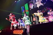 「天晴れ!原宿全国ツアー 2019」東京・Zepp DiverCity TOKYO公演の様子。