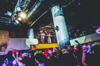 2階から登場したさくらしめじ。（撮影：鈴木友莉）