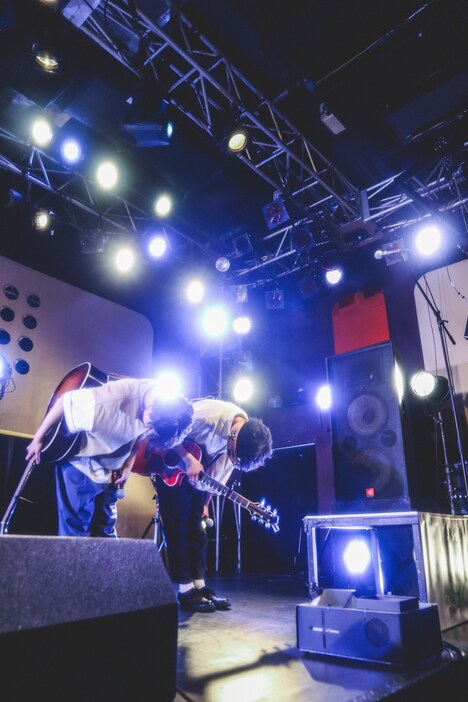 さくらしめじ（撮影：鈴木友莉）