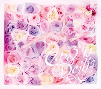 西田望見「女の子はDejlig」初回限定盤ジャケット