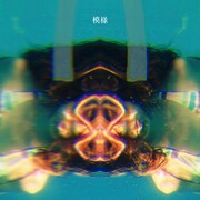 Ivy to Fraudulent Game「模様」ジャケット