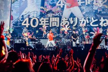 サザンオールスターズ「“キミは見てくれが悪いんだから、アホ丸出しでマイクを握ってろ!!”だと!? ふざけるな!!」東京・東京ドーム公演の様子。（撮影：西槇太一）