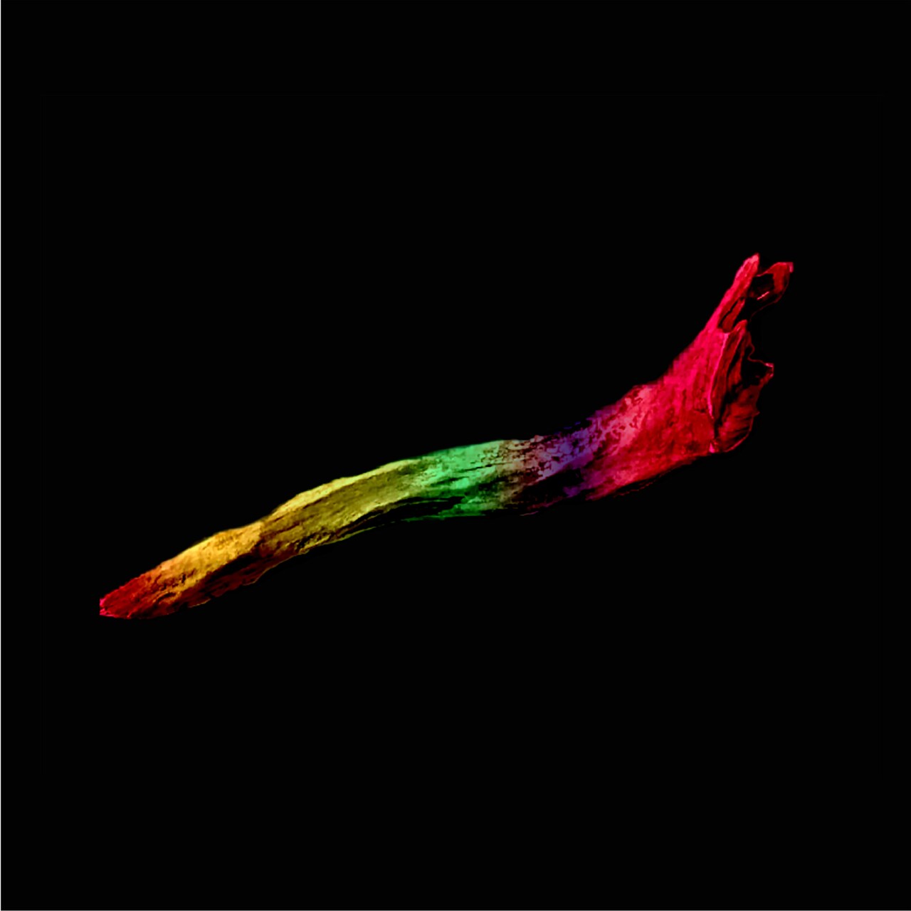 sleepy.ab「cactus / アルファ」ジャケット