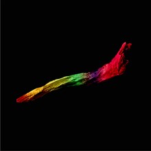 sleepy.ab「cactus / アルファ」ジャケット