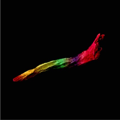 sleepy.ab「cactus / アルファ」ジャケット