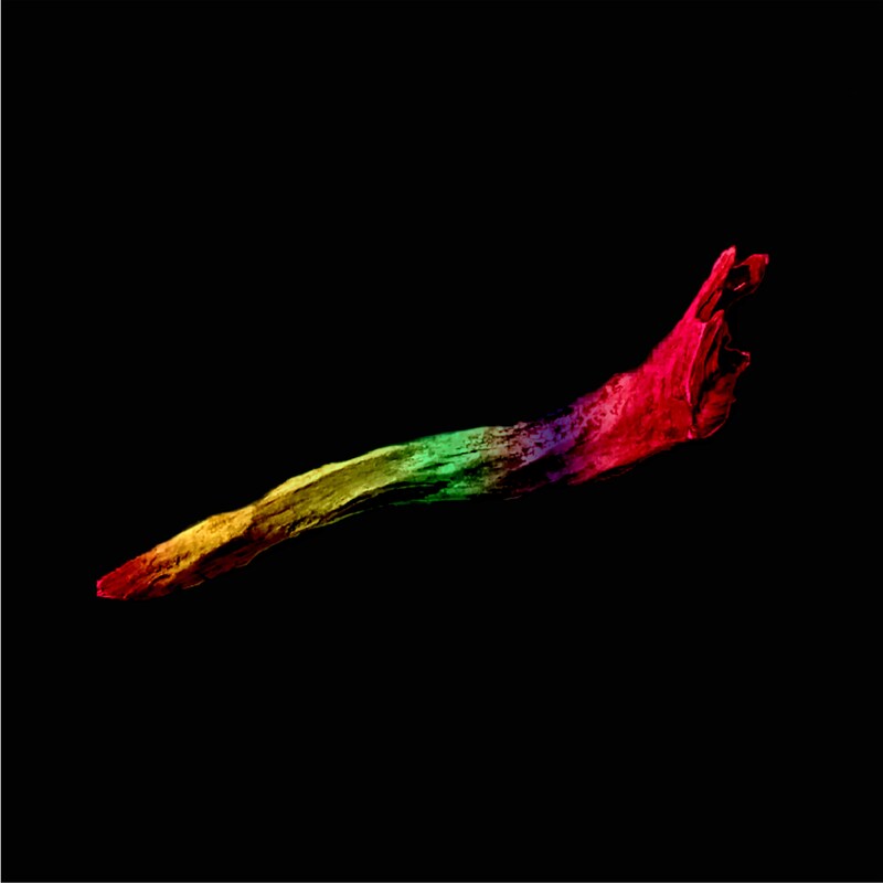 sleepy.ab「cactus / アルファ」ジャケット