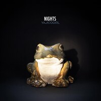 YAJICO GIRL「NIGHTS」配信ジャケット