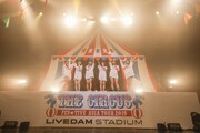 「THE CIRCUS / ザ・サーカス」東京・マイナビBLITZ赤坂公演の様子。（写真提供：徳間ジャパンコミュニケーションズ）