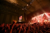 Track's(Photo by Teppei Kishida)