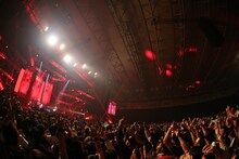 10-FEET（撮影：中河原理英）