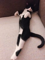 リラックスしているmame。