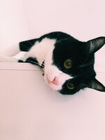 南波が選んだmameのベストショット。