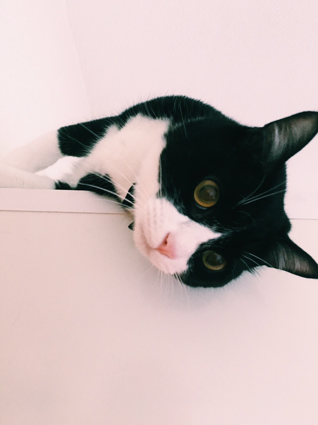 南波が選んだmameのベストショット。