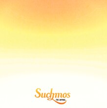 Suchmos「THE ANYMAL」アナログジャケット
