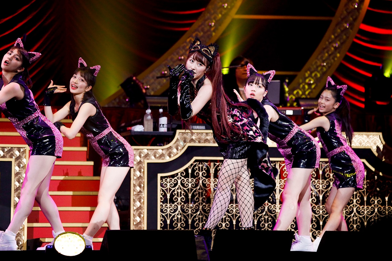 「AYAKA NATION 2019 in Yokohama Arena」の様子。（撮影：上飯坂一、小境勝巳）
