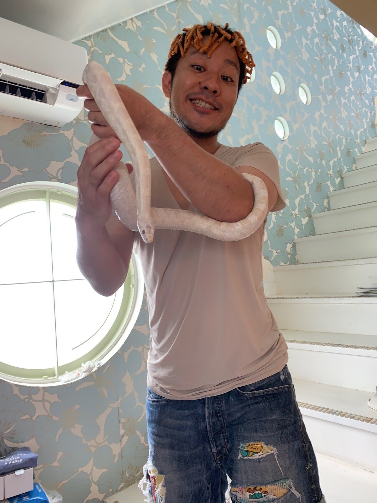 名嘉俊（HY）× コーンスネークのティー