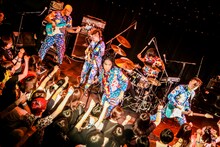 HERE（撮影：新倉映見）