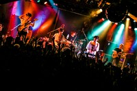 キュウソネコカミ（撮影：新倉映見）