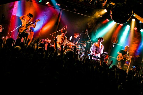 キュウソネコカミ（撮影：新倉映見）