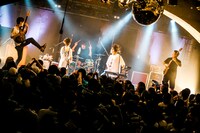 キュウソネコカミ（撮影：新倉映見）