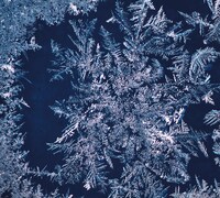 THA BLUE HERB「THA BLUE HERB」生産限定盤ジャケット