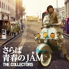 THE COLLECTORS主演「さらば青春の新宿JAM」ソフト化、BDにはJAMライブ映像も
