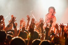 稲村太佑（Vo, G, Violin / アルカラ）（撮影：西槇太一）