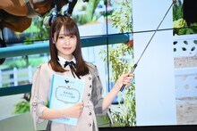 菅井友香（欅坂46）