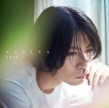SHIN「AZALEA」PINK ver.ジャケット