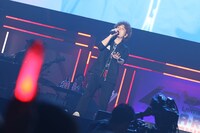 STEREO DIVE FOUNDATION