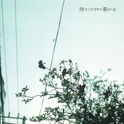 クリープハイプ「待ちくたびれて朝がくる」ジャケット