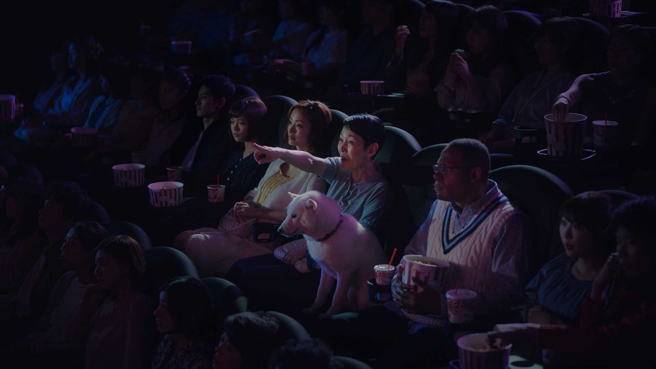 ソフトバンクの新CM「白戸家『映画を観る』篇」のワンシーン。