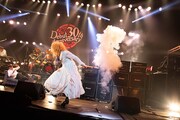 「メジャーデビュー 30th Anniversary FINAL LIVE『ザ・サン』突入 31st！」の様子。（撮影：コザイリサ）