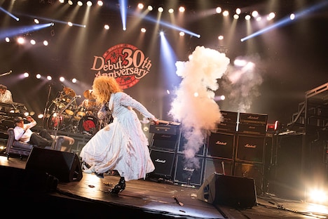 「メジャーデビュー 30th Anniversary FINAL LIVE『ザ・サン』突入 31st！」の様子。（撮影：コザイリサ）
