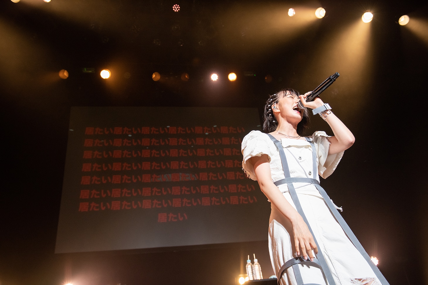 安本彩花