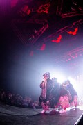 「CHAI JAPAN TOUR 2019『PINKなPUNKがプンプンプン トゥアー！』」東京・新木場STUDIO COAST公演の様子。（撮影：中磯ヨシオ）