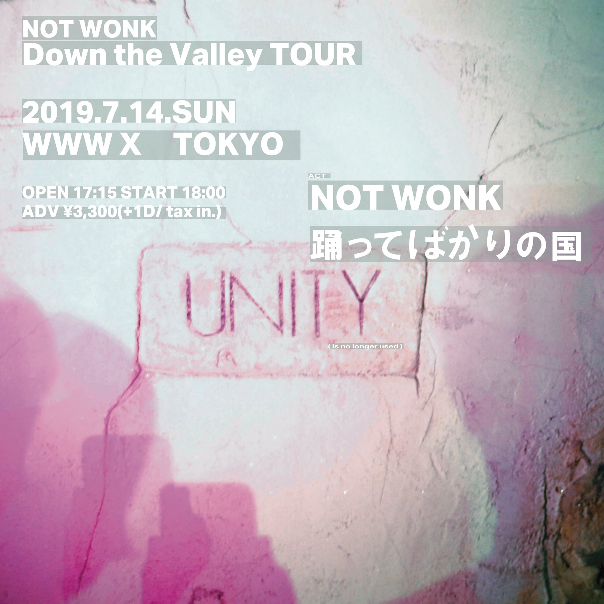 NOT WONK、「Down the Valley」アナログ盤を再プレス - 音楽ナタリー