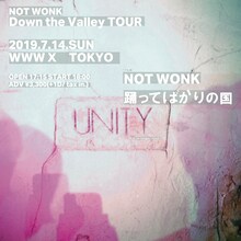 NOT WONK「Down the Valley Tour」最終公演の告知ビジュアル。