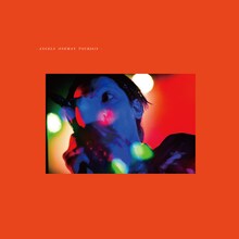 THE NOVEMBERS「ANGELS ONEMAN TOUR 2019」ジャケット