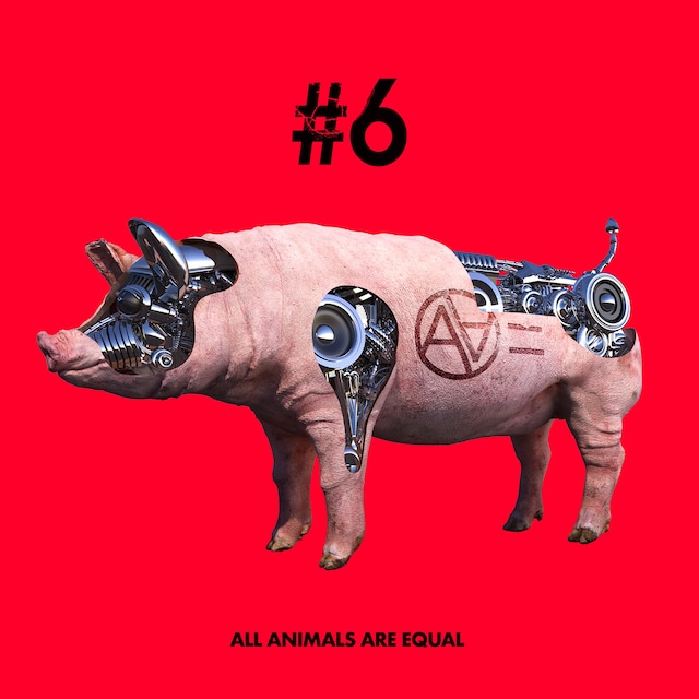 AA=「#6」ジャケット