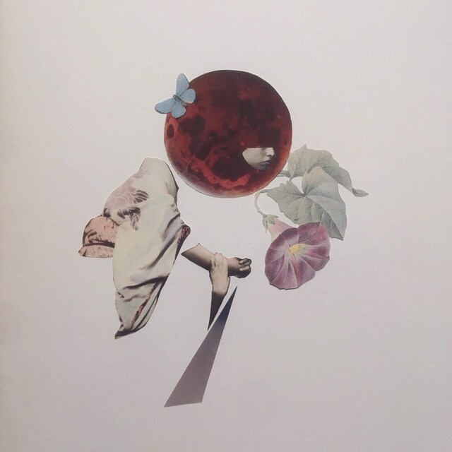 君島大空「散瞳 / 花曇」