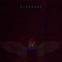 沖野俊太郎「Birdsong（Rework 2019）」配信ジャケット