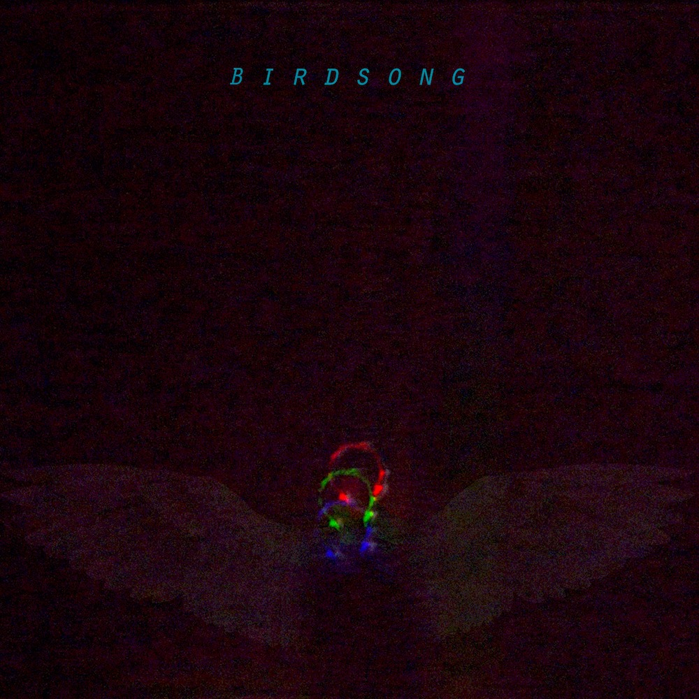 沖野俊太郎「Birdsong（Rework 2019）」配信ジャケット