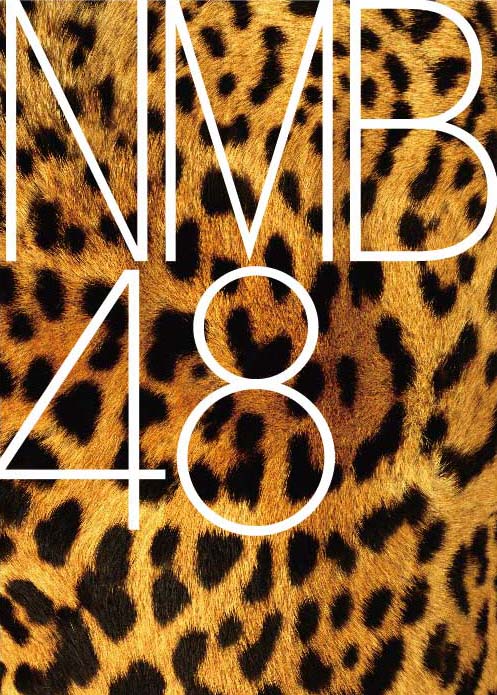 NMB48ロゴ