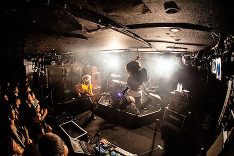 PELICAN FANCLUB「PELICAN FANCLUB ONEMAN LIVE 2019」の様子。（撮影：伊藤惇）