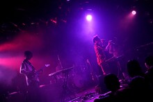 The fin.（Photo by Yoshiaki Miura）